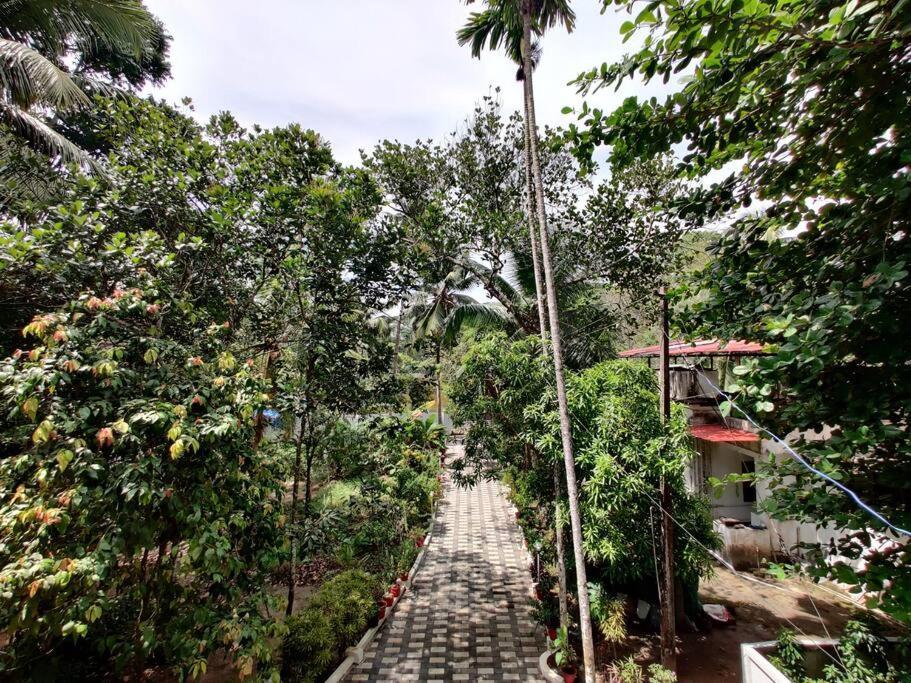 Anandam Stays - Premium 3Bhk Plush Homestay, Vaikom Near Kumarakom Exterior foto